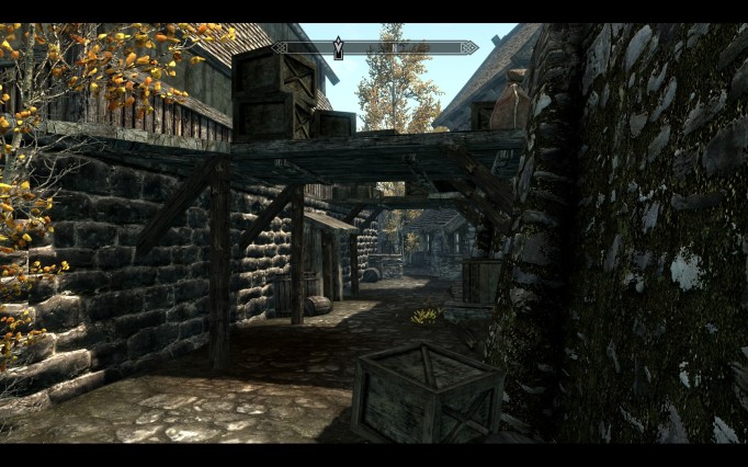 Screenshot from Skyrim
